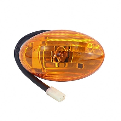 Customize Logo Foton Aumark Truck Ollin Car Door Light with Performance and 12V Right