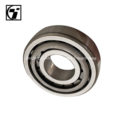 0735.300.789 Foton Auto Bearings for ZF Gearbox Omako O Ling MRT Needle Roller Bearing