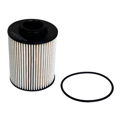 0.07kg Foton Aumark Fuel Filter P111000000245 for Martian Skin Condition Original