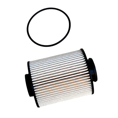 0.07kg Foton Aumark Fuel Filter P111000000245 for Martian Skin Condition Original