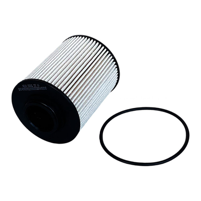 0.07kg Foton Aumark Fuel Filter P111000000245 for Martian Skin Condition Original