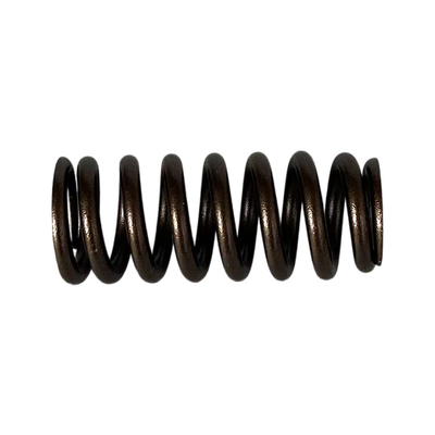 Foton AUCAN 2.5 Engine 4F25TC Valve Spring PM40004174 Perfect Fit for Foton Aumark